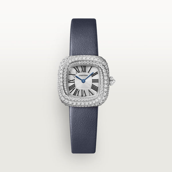 Amazing Swiss Quartz movement watch - Timecraze