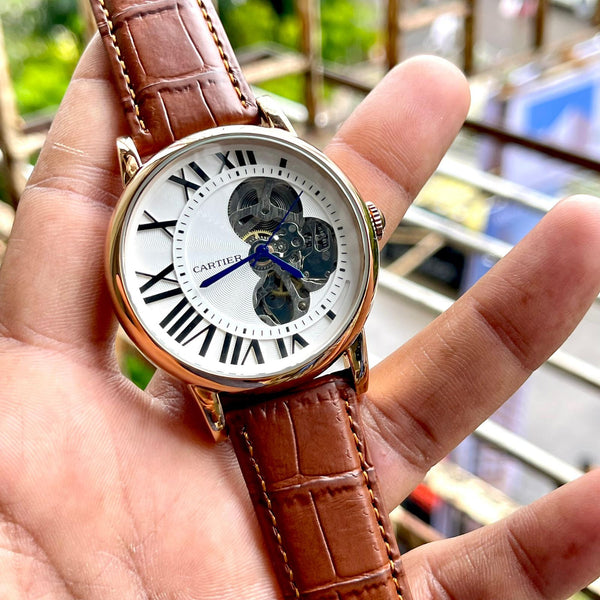 Amazing Luxury Brown leather watch - Timecraze
