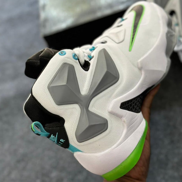 Amazing Lebron 13 Premium Shoes - Timecraze