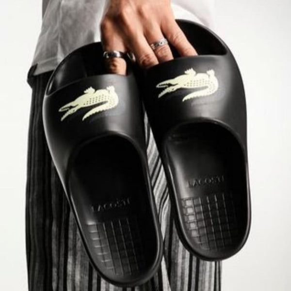 Lcoste premium evo slide - Timecraze