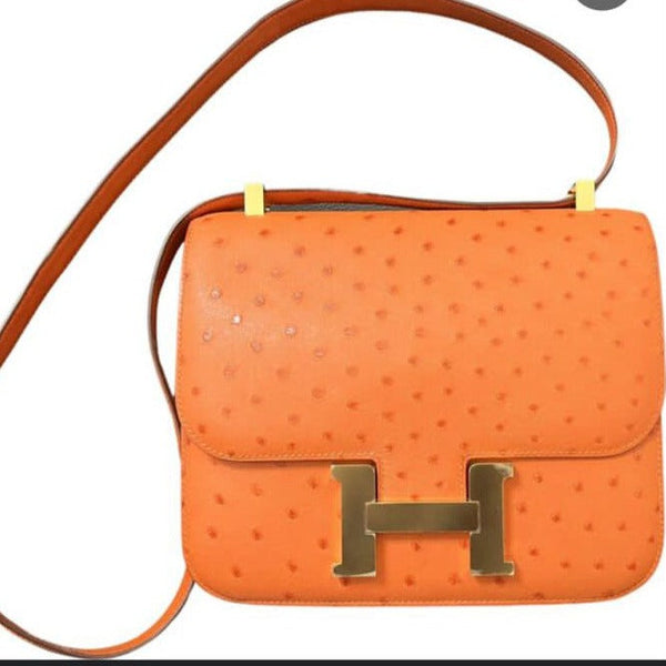Amazing Crocodile Premium Bag - Timecraze