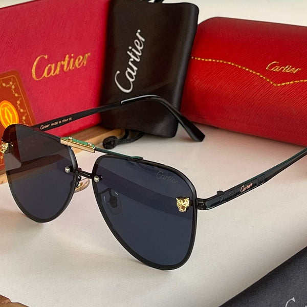 Ctr premium luxury unisex sunglasses - Timecraze