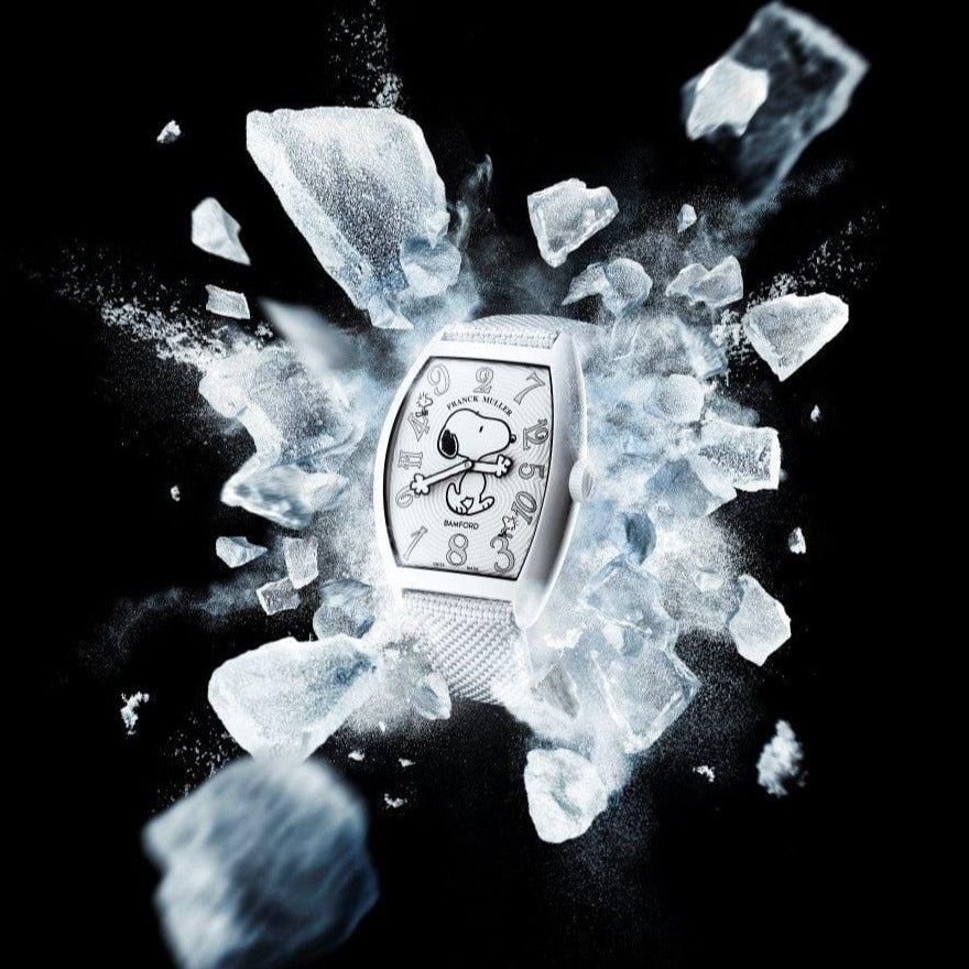 Franck M Luxury premium quality watch - Timecraze
