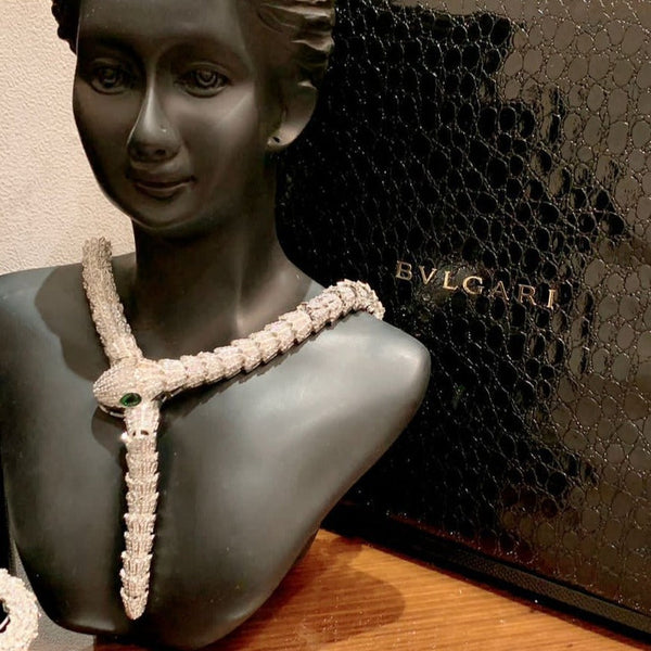 Premium Snake Necklace With Earrings - Timecraze