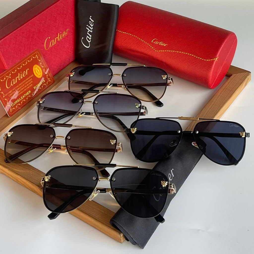 Ctr premium luxury unisex sunglasses - Timecraze