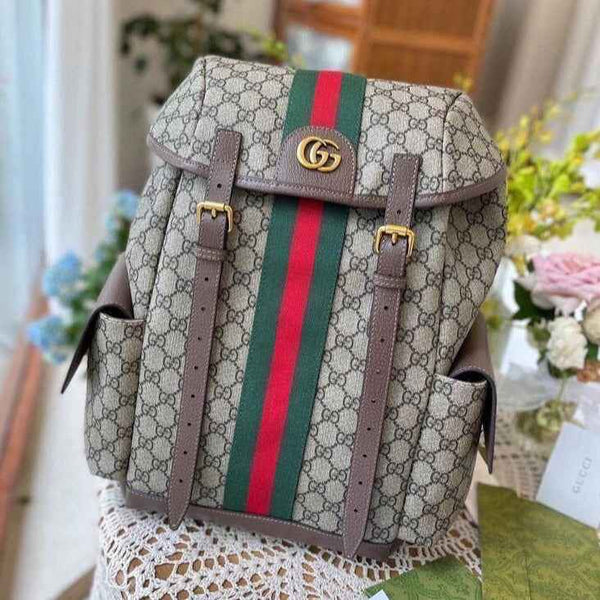 Amazing gc Backpack
